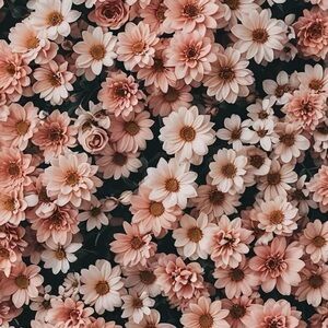 Meet your Posher, Brenda